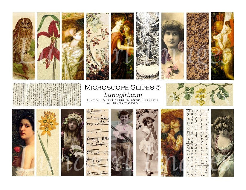 Microscope Slides #5 : 1x3" Pendants Digital Collage Sheet - Lunagirl