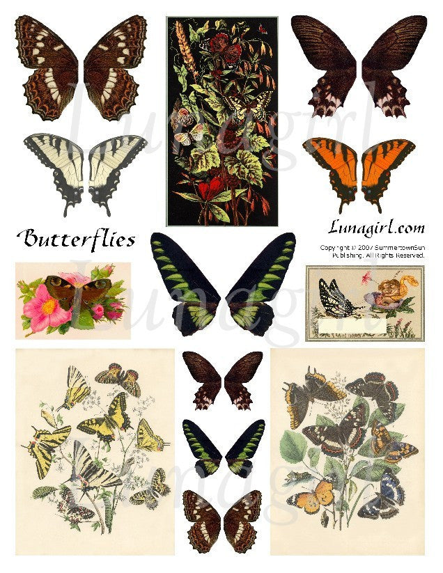 Natural Butterflies Digital Collage Sheet - Lunagirl